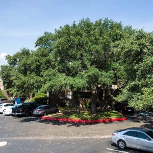 Broadstone-Medical-382