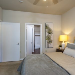 Master Bedroom with Door to Bathroom