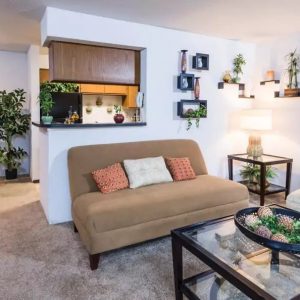 Living Room Sofas