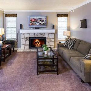Living Room Area with Fireplace