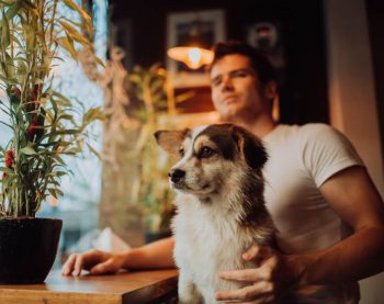 san antonio pet friendly apartments