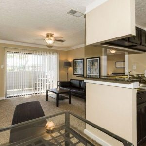 Fancy Living Room and Kitchen Area