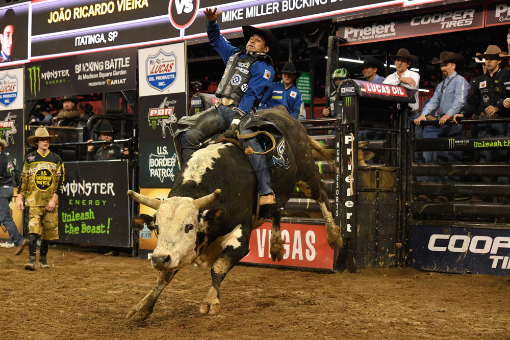 Man rides bull at rodeo in texas.