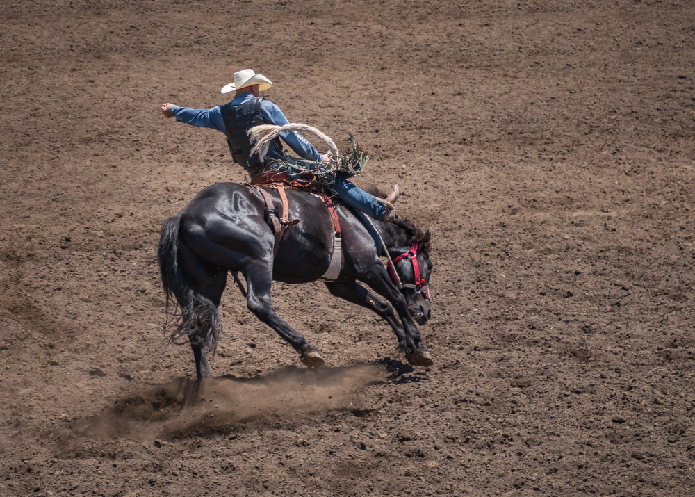 cowboy rides bronco in the rodeo